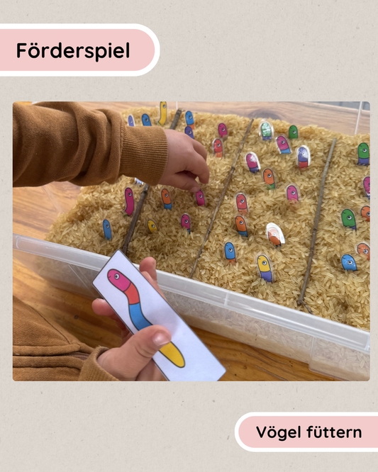 Förderspiel - Vögel füttern
