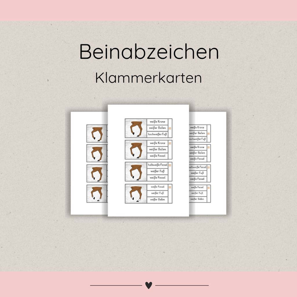 Klammerkarten Beinabzeichen