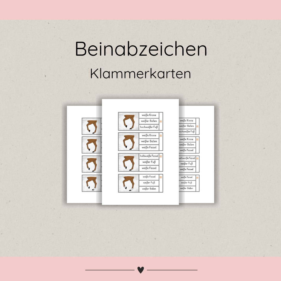 Klammerkarten Beinabzeichen