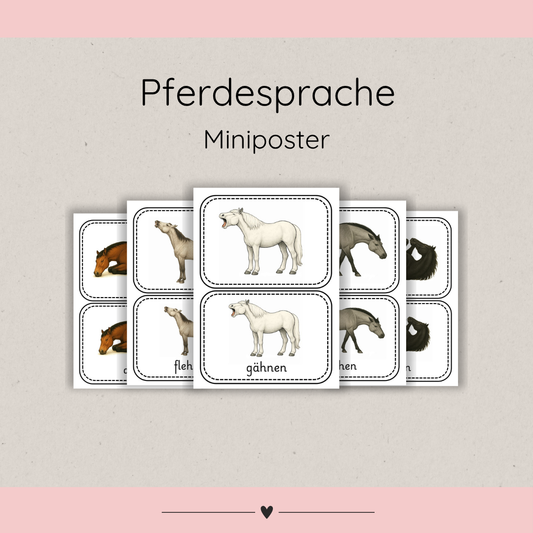 Mini Poster Horse Language