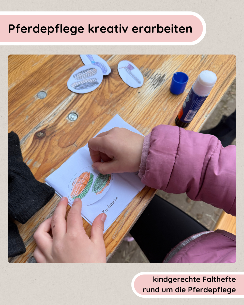 Foldable booklets: Horse care
