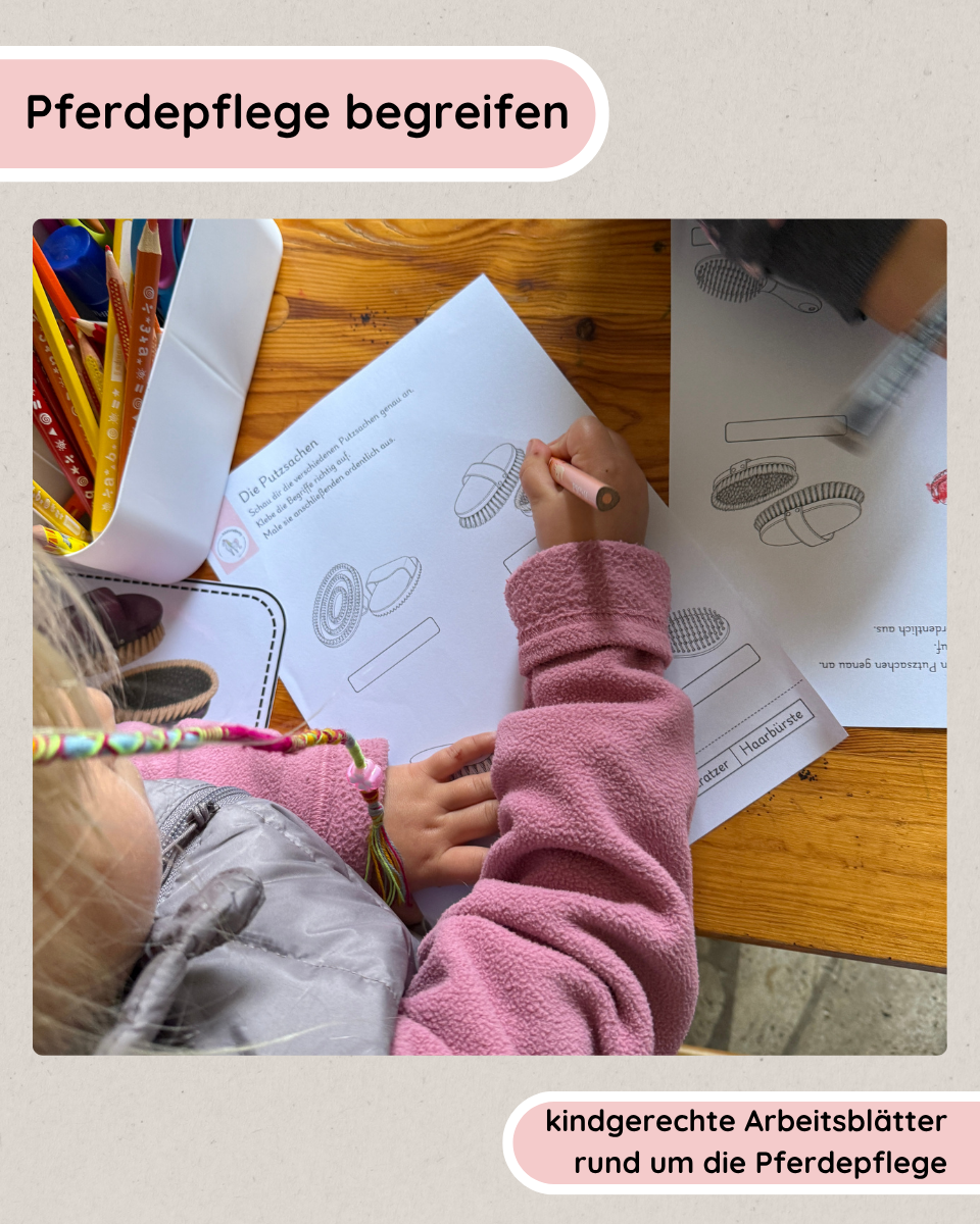 Putzsachen erkennen & benennen – Arbeitsblätter zur Pferdepflege