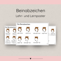 Lehrposter Beinabzeichen
