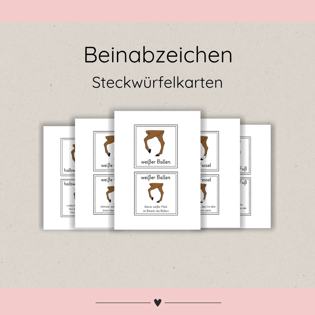 Steckwürfelkarten Beinabzeichen
