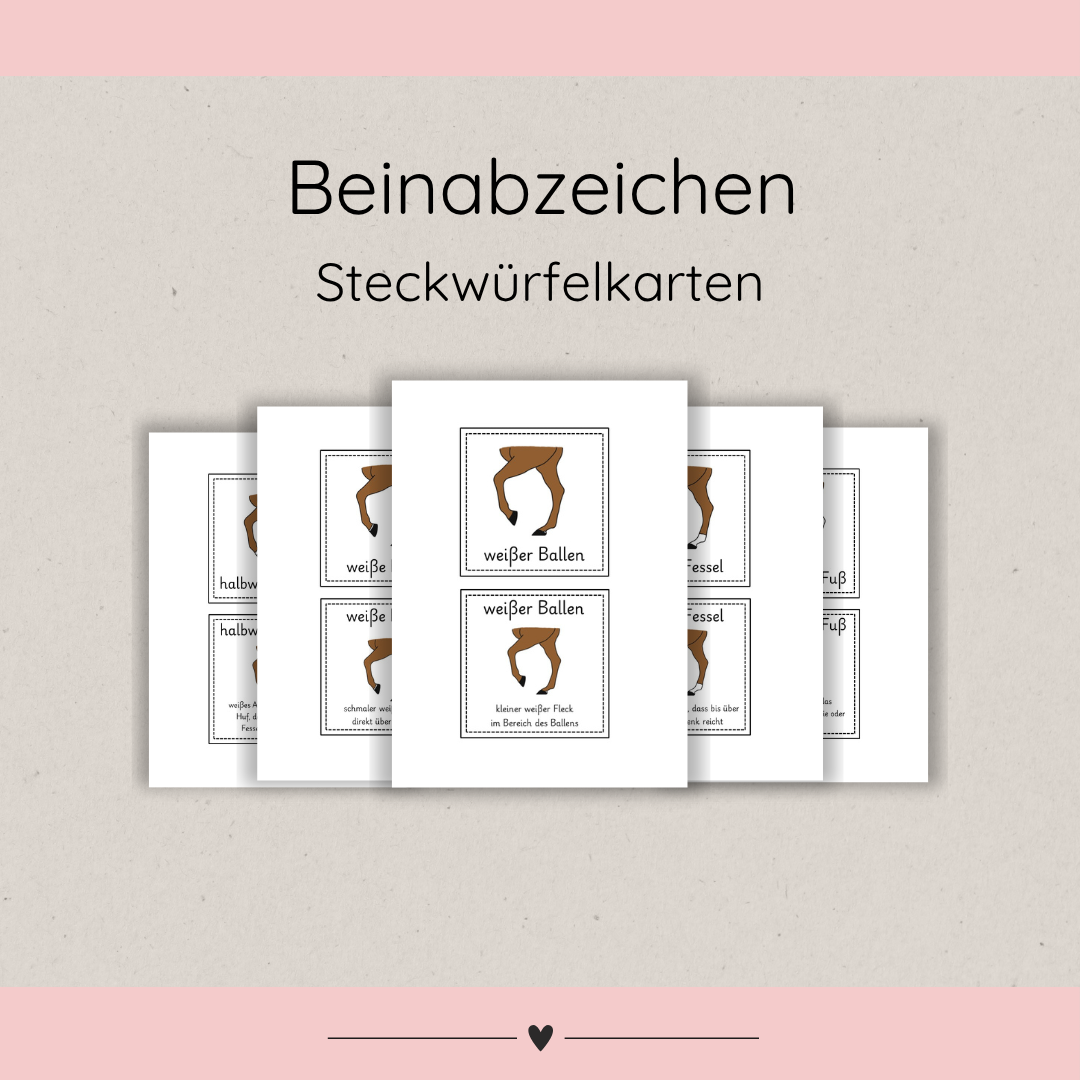 Steckwürfelkarten Beinabzeichen