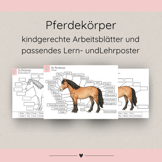 kindgerechte Arbeitsblätter und Lehr- und Lernposter Pferdekörper