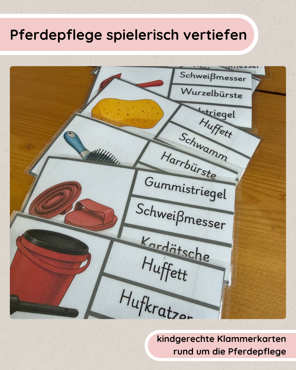 Pferdepflege Putzsachen erkennen  – Klammerkarten für Kinder