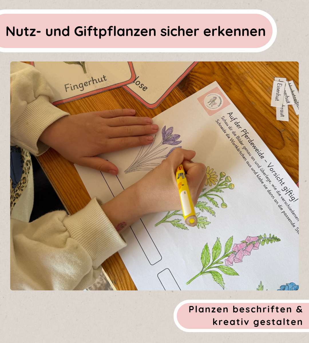 Kindgerechte Arbeitsblätter 1 - Nutz- und Giftpflanzen sicher erkennen und unterscheiden