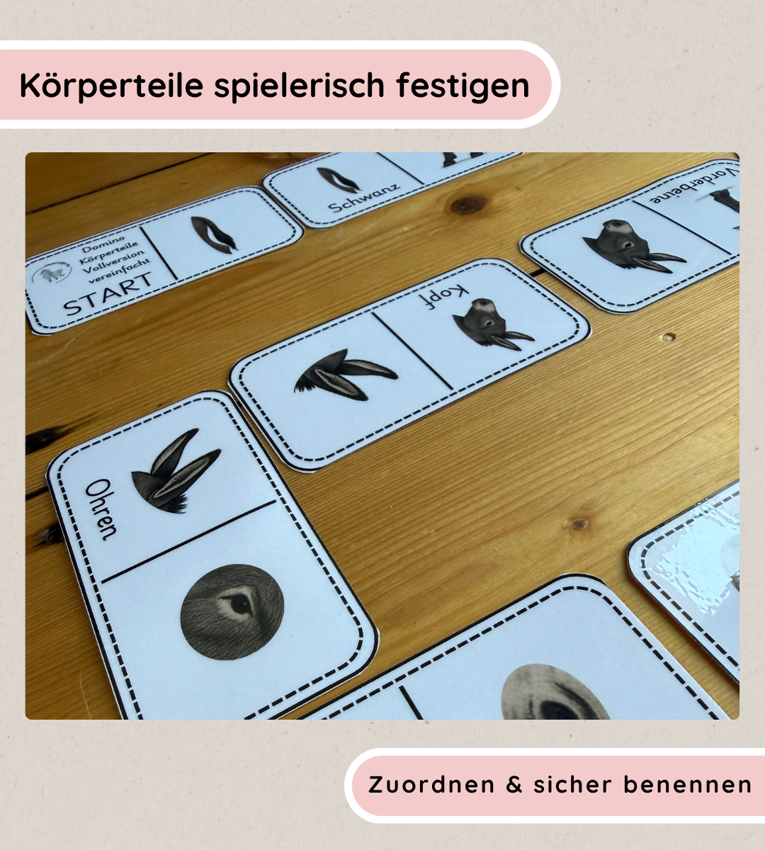 Lerndomino Eselkörper – Körperteile spielerisch festigen