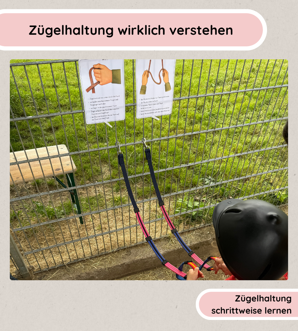 Zügelhaltung kindgerecht erklären und verstehen