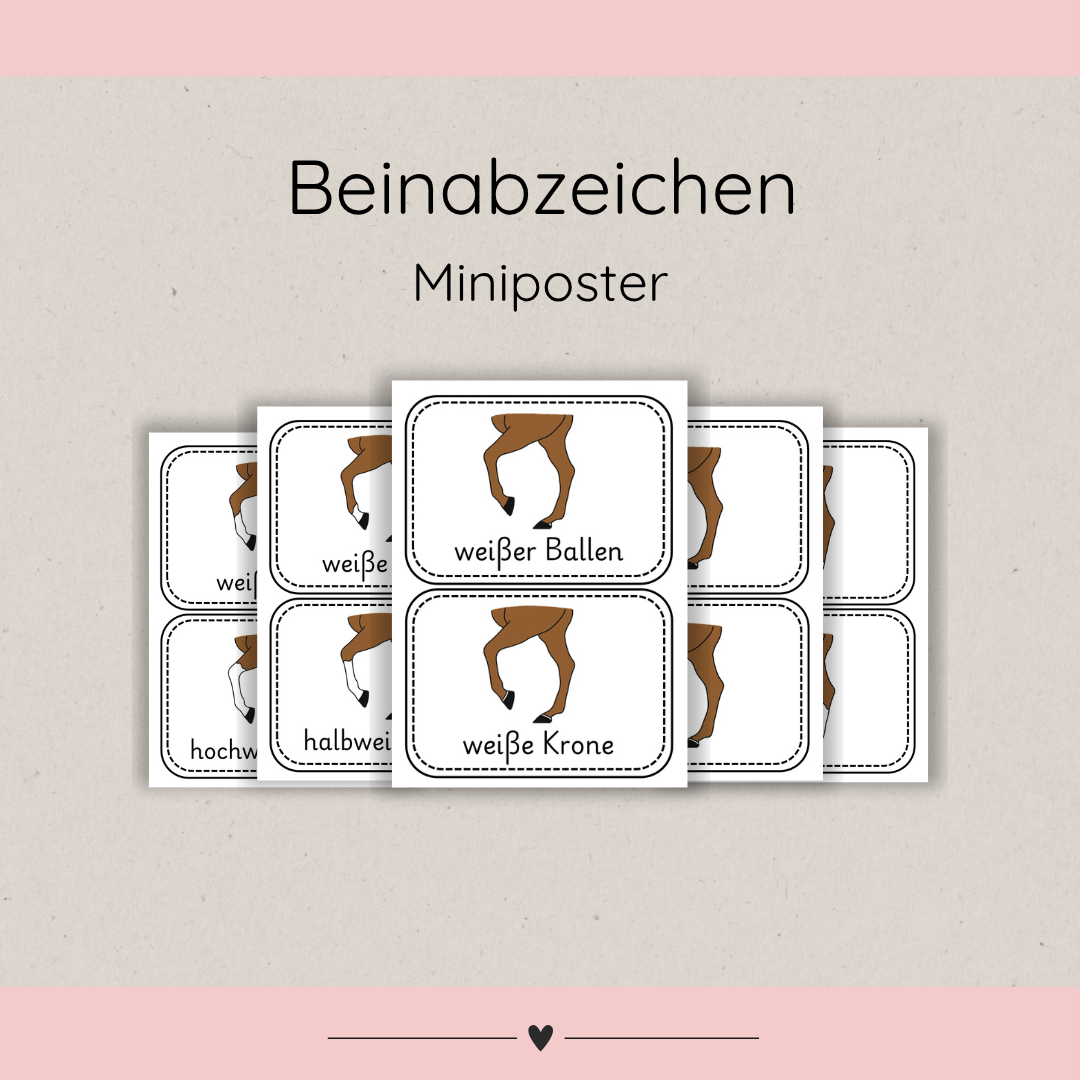 Miniposter Beinabzeichen
