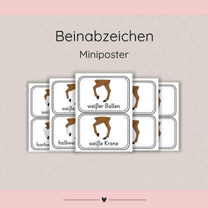 Miniposter Beinabzeichen