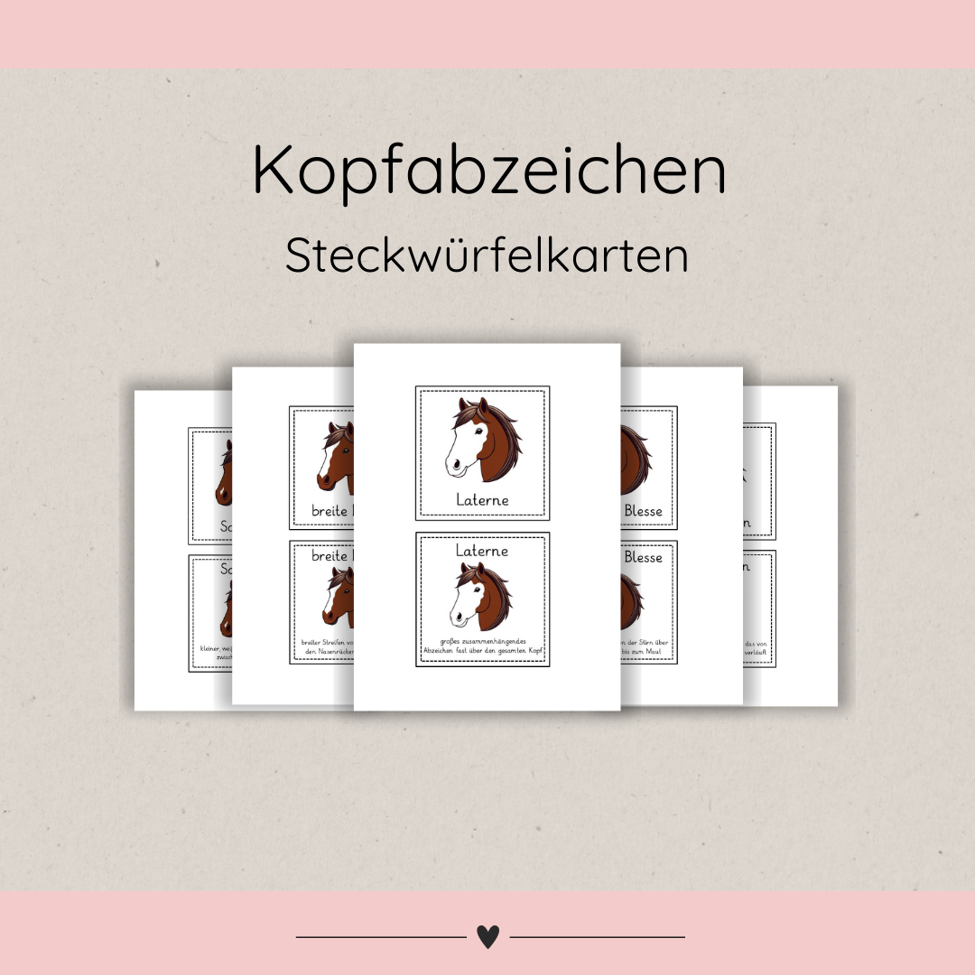 Steckwürfelkarten Kopfabzeichen