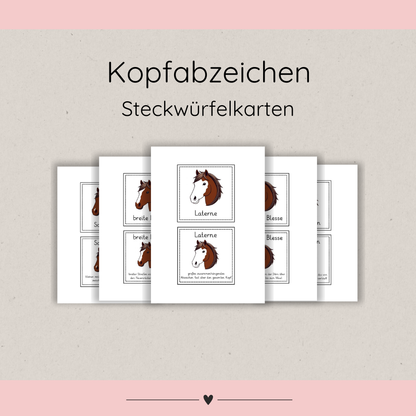 Cube Card Header Badges
