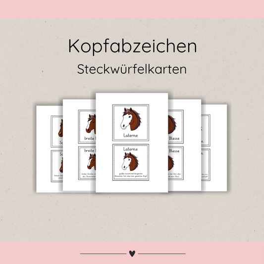 Steckwürfelkarten Kopfabzeichen