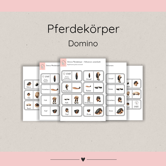 Lerndomino Pferdekörper 2