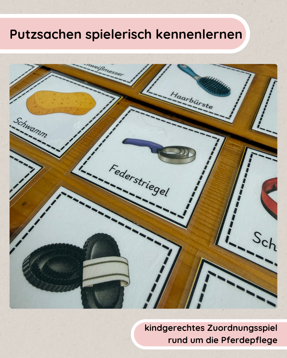 Matching Games Horse Grooming / Grooming Supplies