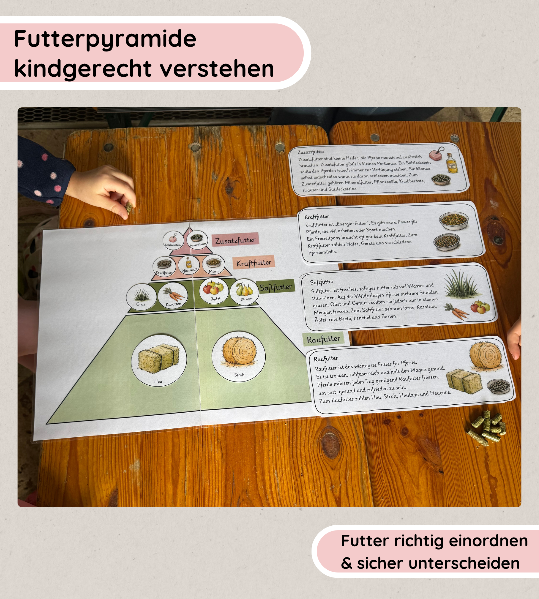 KIndgerechtes Legematerial & Arbeitsblätter - Die Futterpyramide verstehen und sicher anwenden