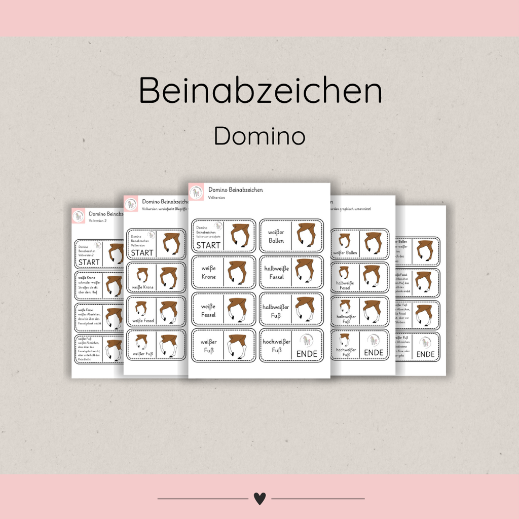 Lerndominos Beinabzeichen