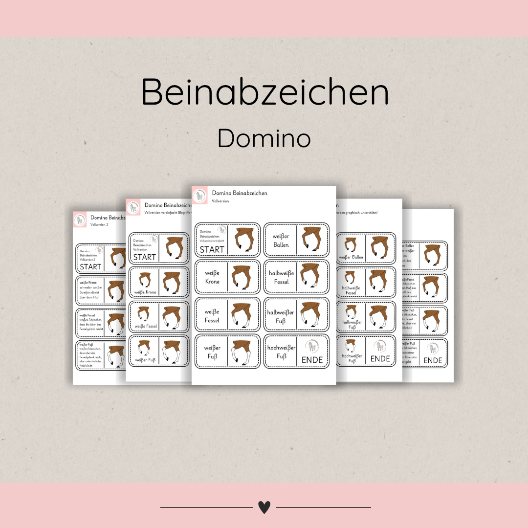 Lerndominos Beinabzeichen