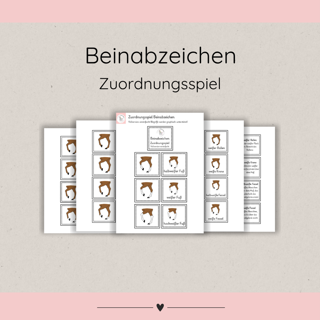 Zuordnungsspiele Beinabzeichen