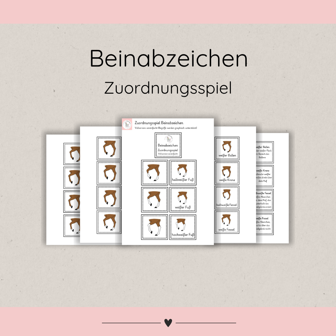 Zuordnungsspiele Beinabzeichen
