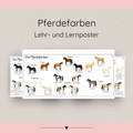 Lehrposter Pferdefarben