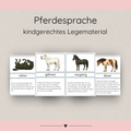 Legematerial Pferdesprache