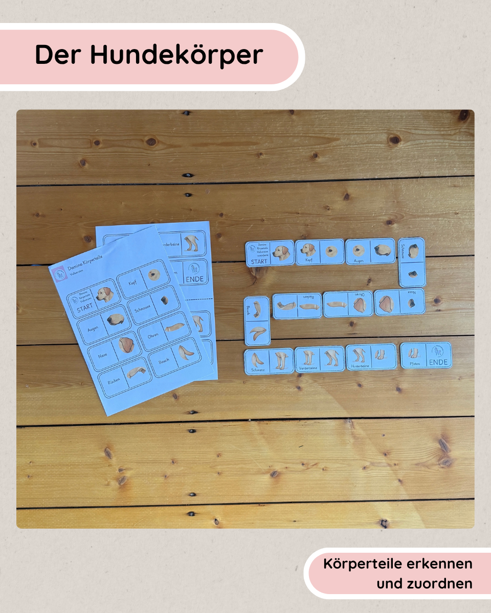 Lerndomino Körperbau Hund | Körperteile spielerisch lernen