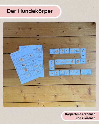Lerndomino Körperbau Hund | Körperteile spielerisch lernen