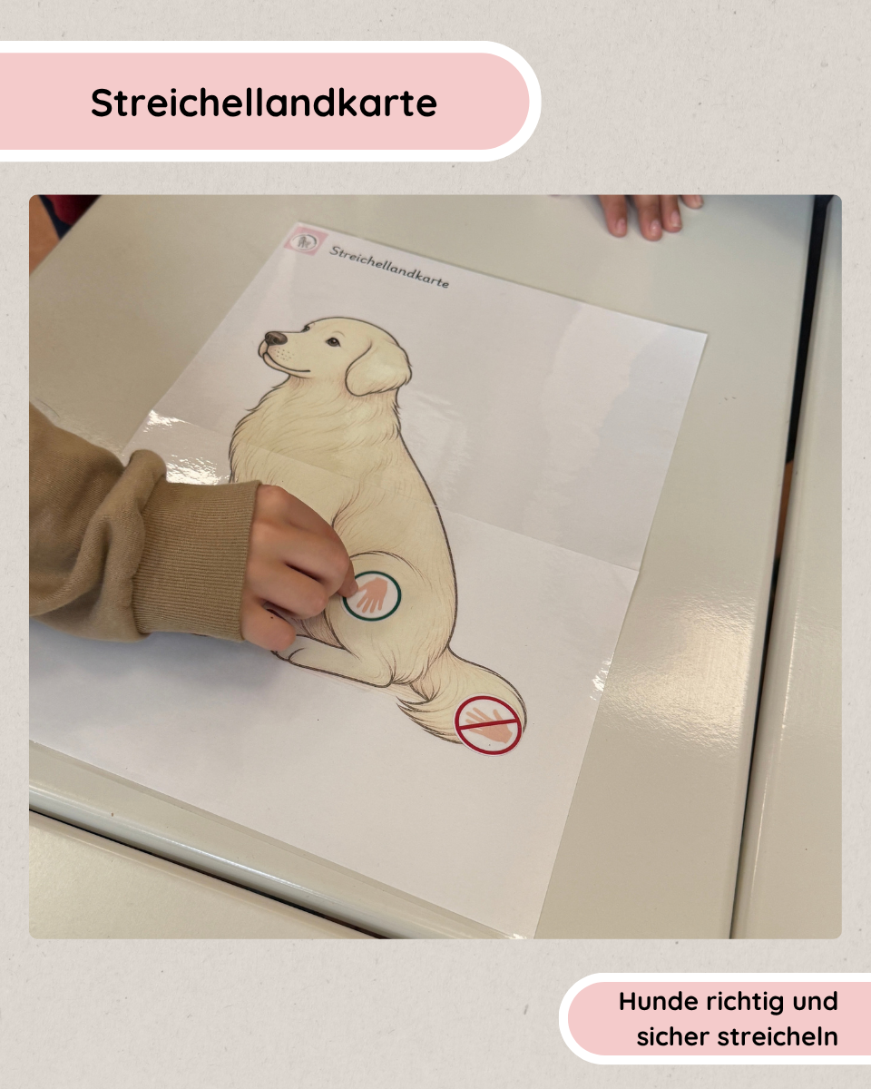 Streichellandkarte Hund | Streichelregeln, Poster & Arbeitsblätter
