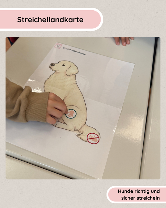 Streichellandkarte Hund | Streichelregeln, Poster & Arbeitsblätter