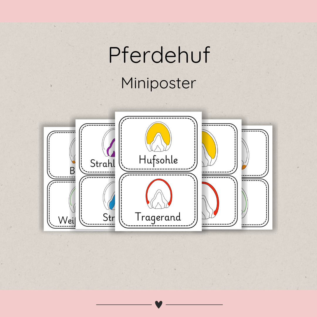 Miniposter Pferdehuf
