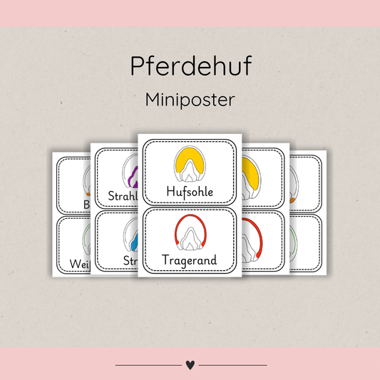 Miniposter Pferdehuf