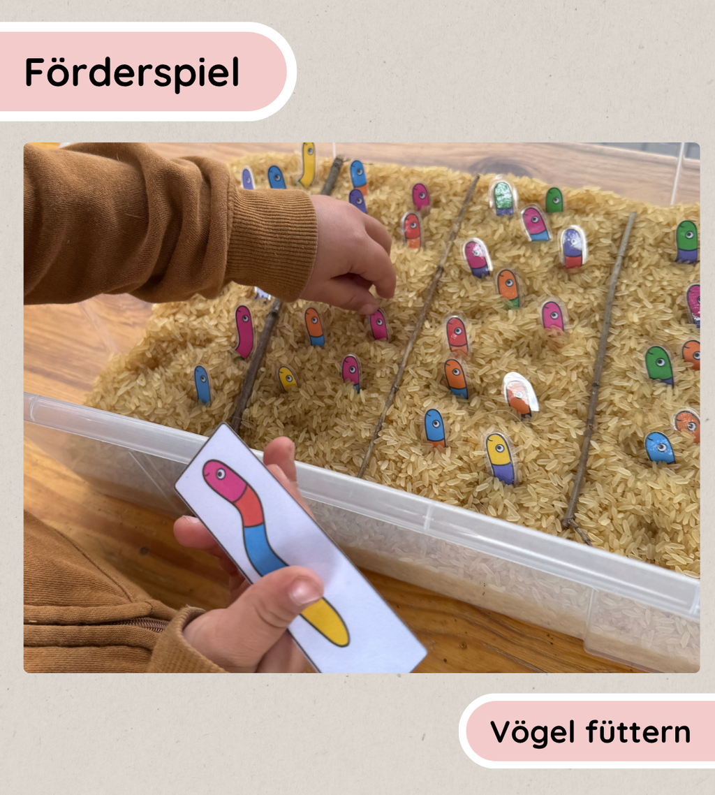 Förderspiel - Vögel füttern