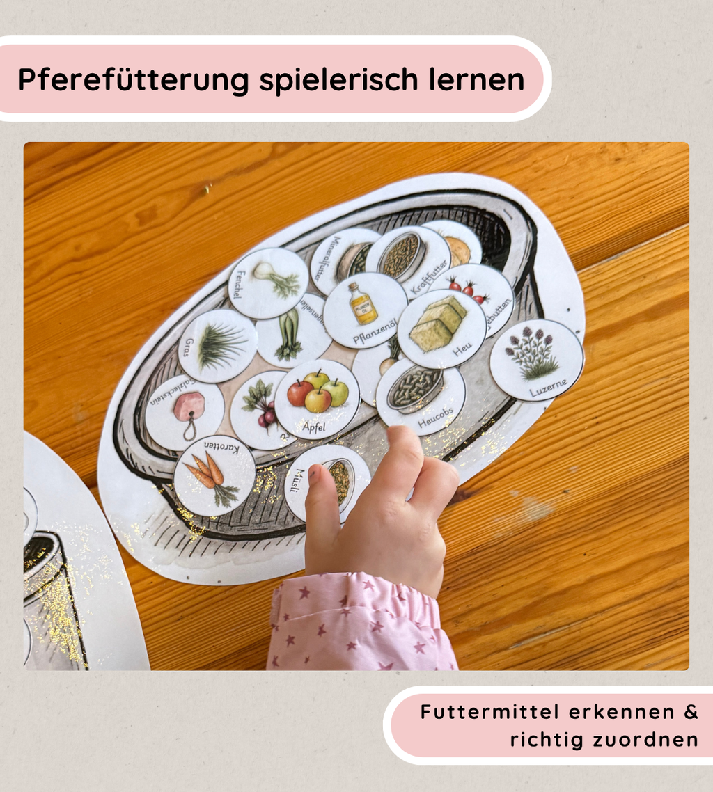 Pferdefütterung spielerisch lernen - Legematerial und Arbeitsblätter