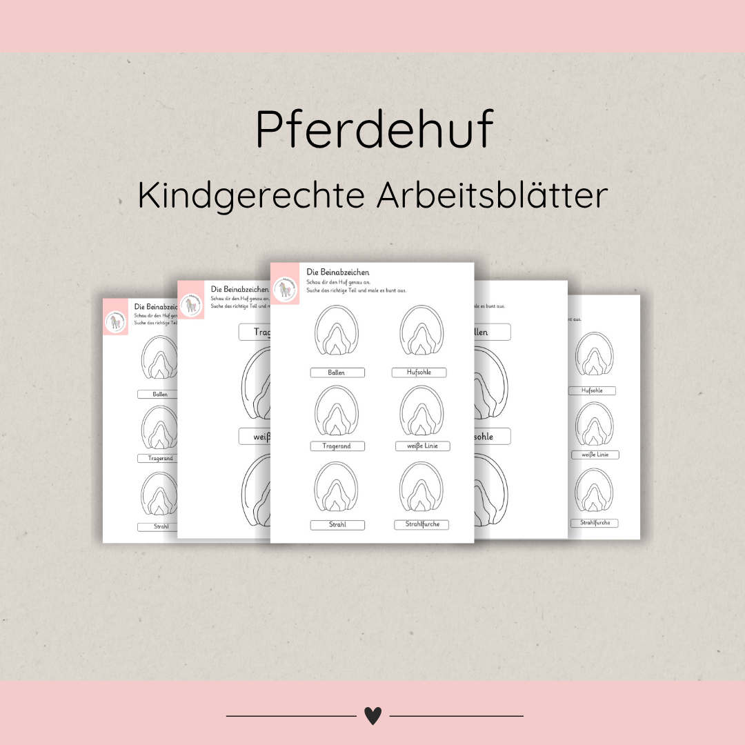 kindgerechte Arbeitsblätter Pferdehuf