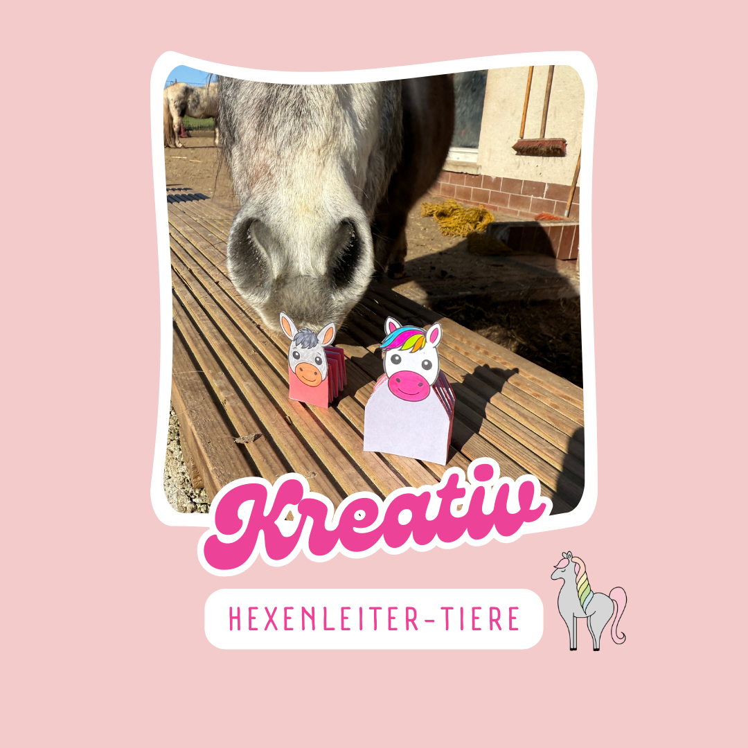 Hexenleiter-Tiere