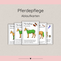Ablaufkarten Pferdepflege