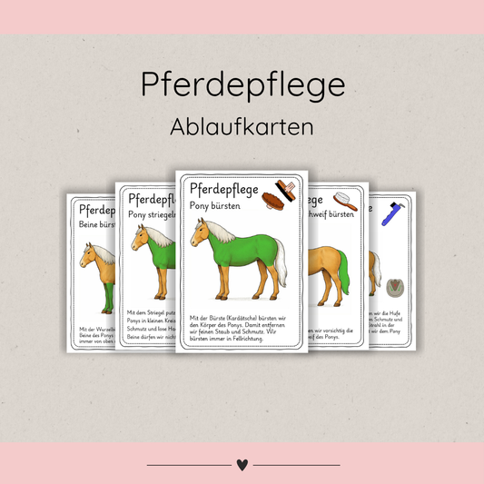 Ablaufkarten Pferdepflege