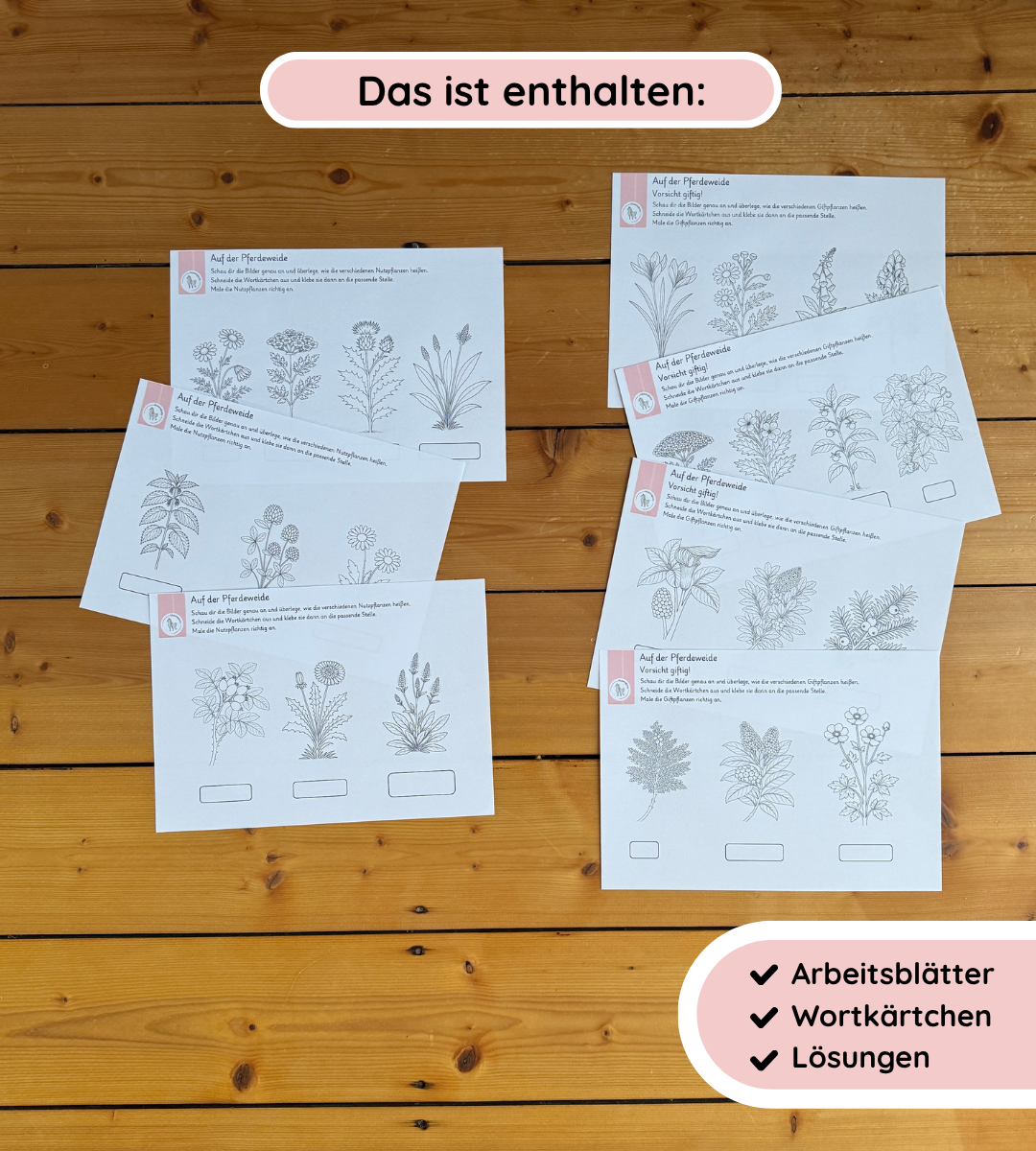 Materialpaket Nutz- und Giftpflamnzen