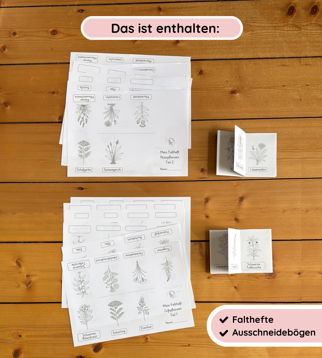Materialpaket Nutz- und Giftpflamnzen