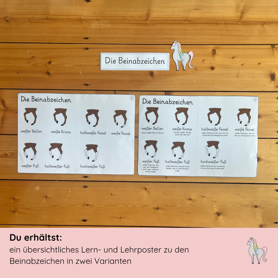 Materialpony - Rundum versorgt