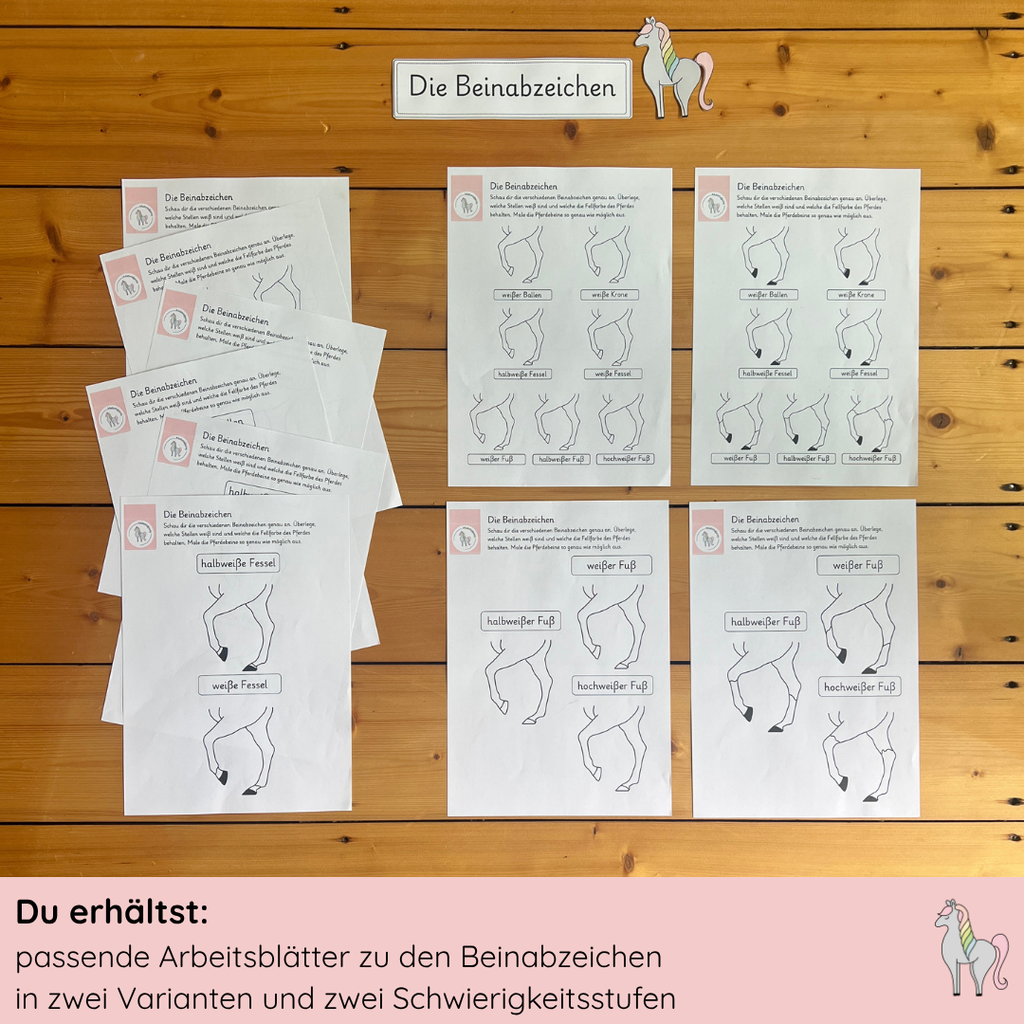 Materialpony - Rundum versorgt