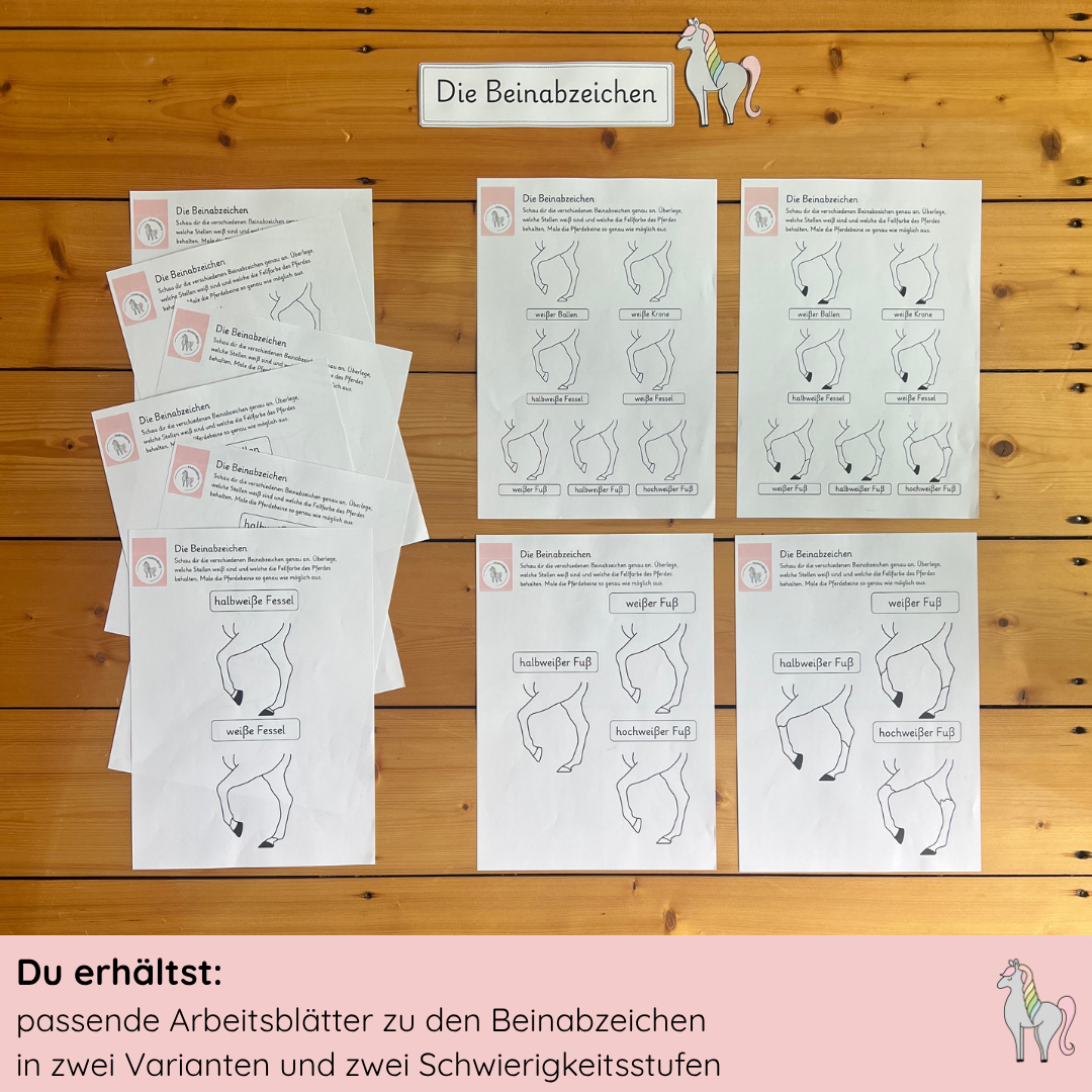 Materialpony - Rundum versorgt