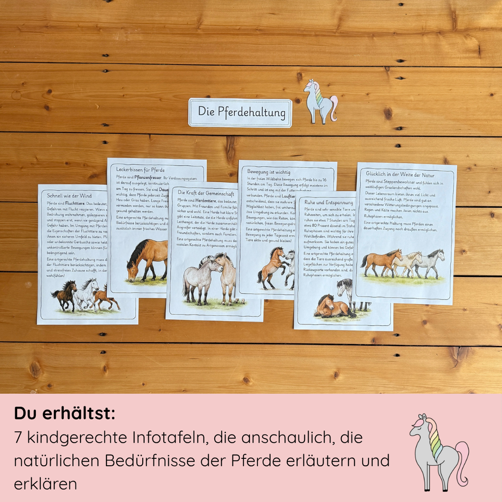 Materialpony - Rundum versorgt