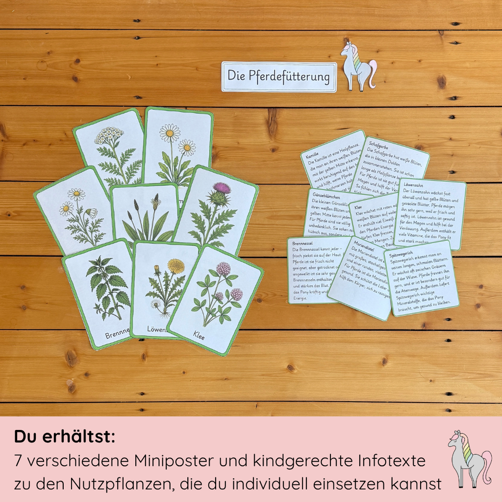 Materialpony - Rundum versorgt