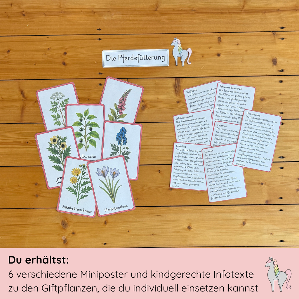 Materialpony - Rundum versorgt