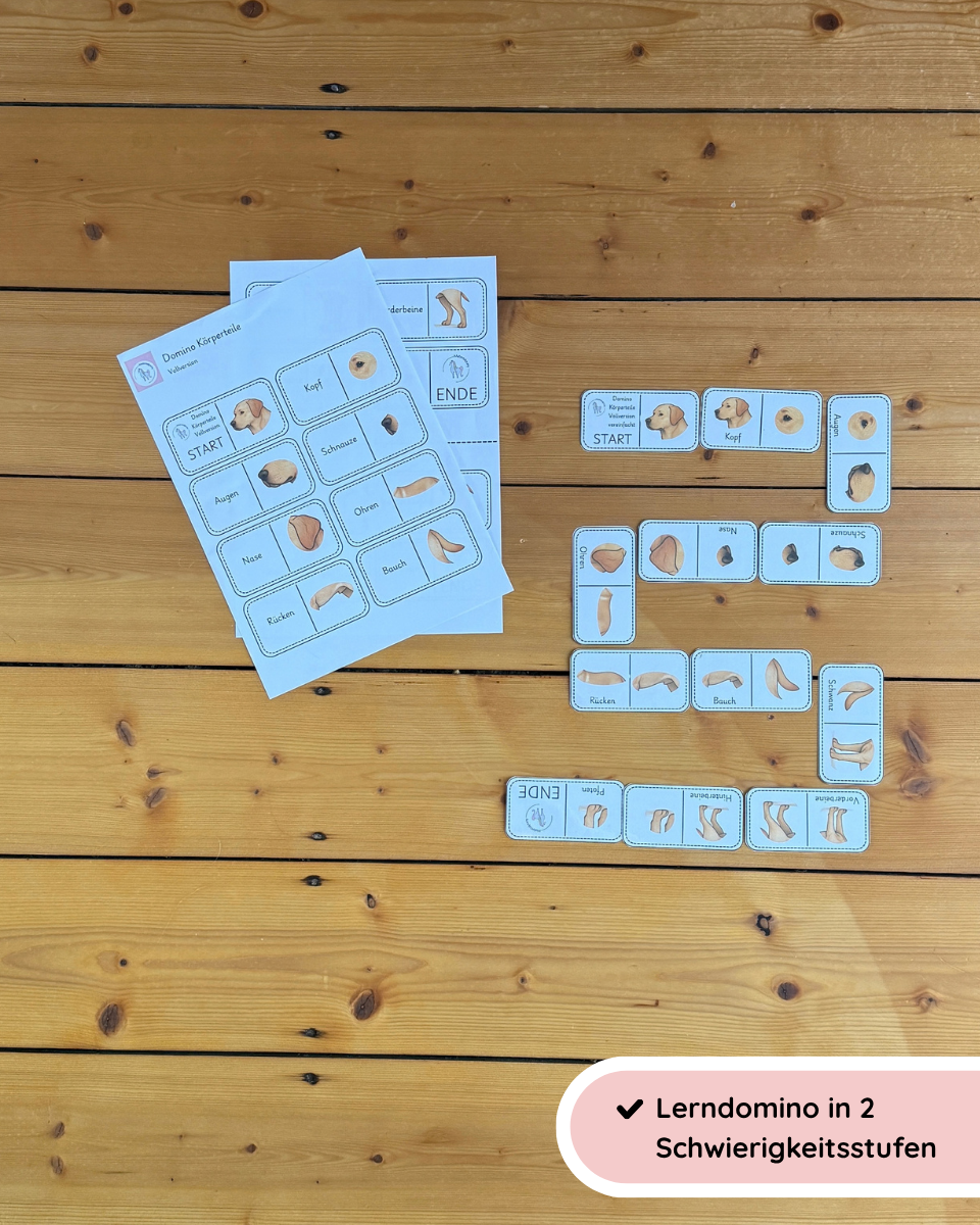 Lerndomino Körperbau Hund | Körperteile spielerisch lernen