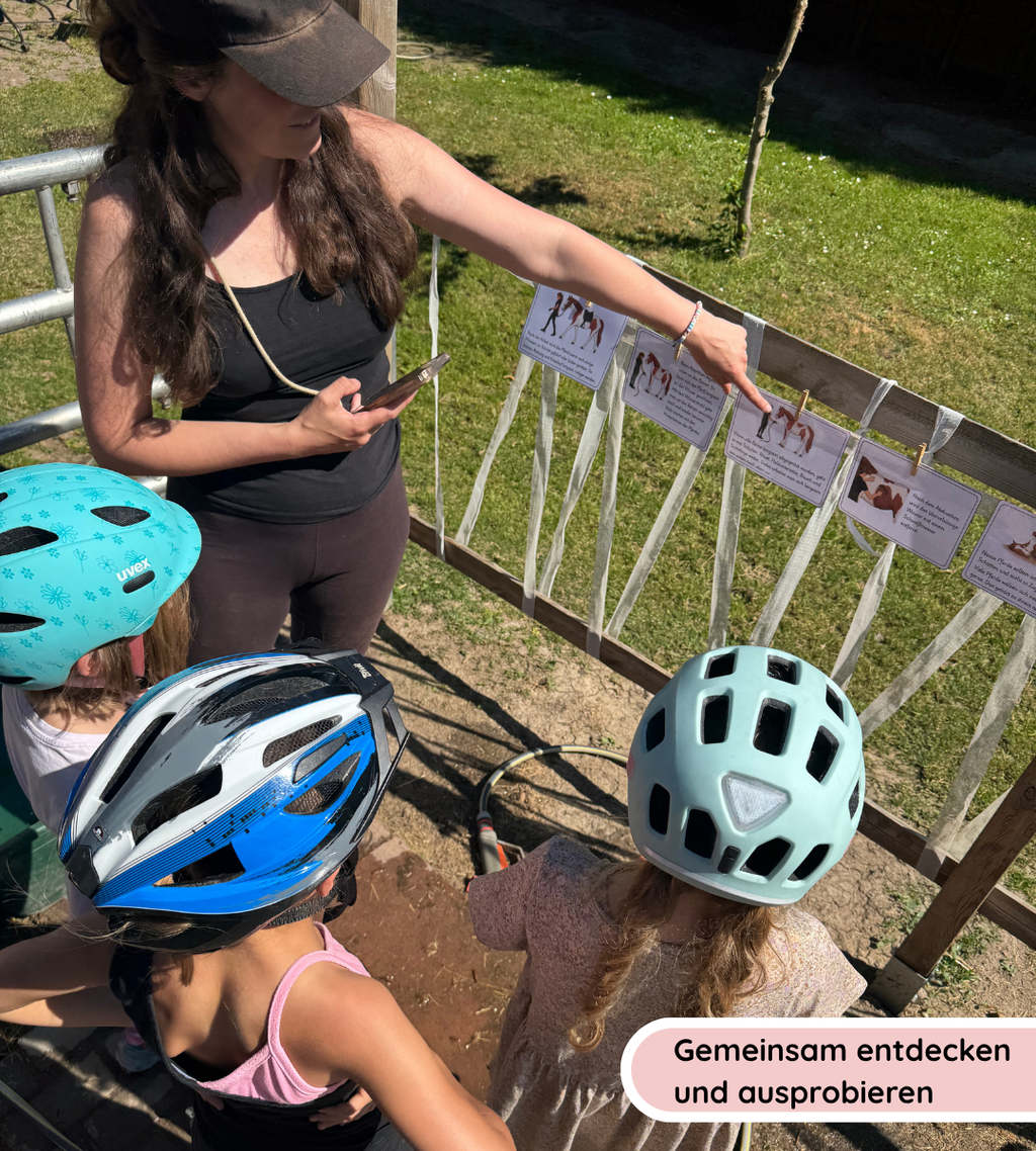 Pferdepflege - Pferde richtig abkühlen